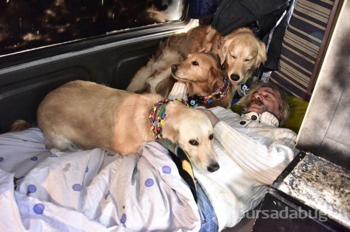 Eve dönüştürdüğü minibüste köpekleriyle yaşıyor	