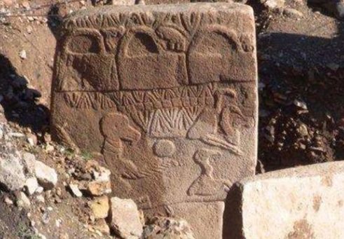 Türk çiftçinin insanlık tarihini değiştirecek keşfi!