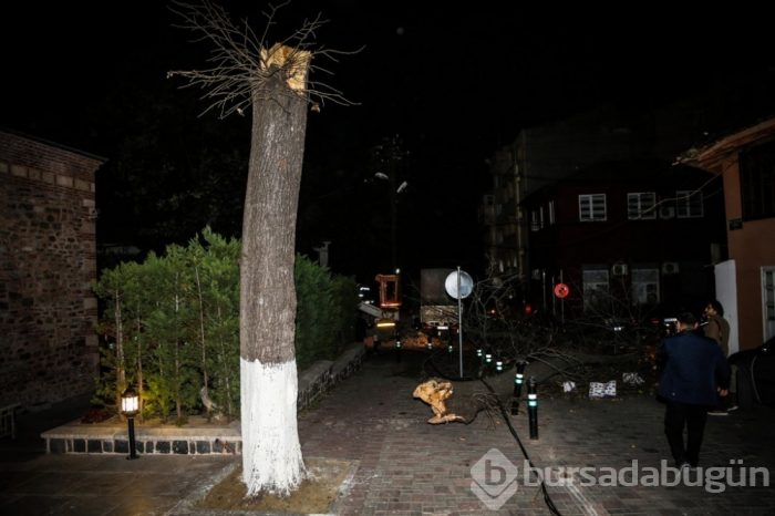 Bursa'da lodos hayatı olumsuz etkiledi