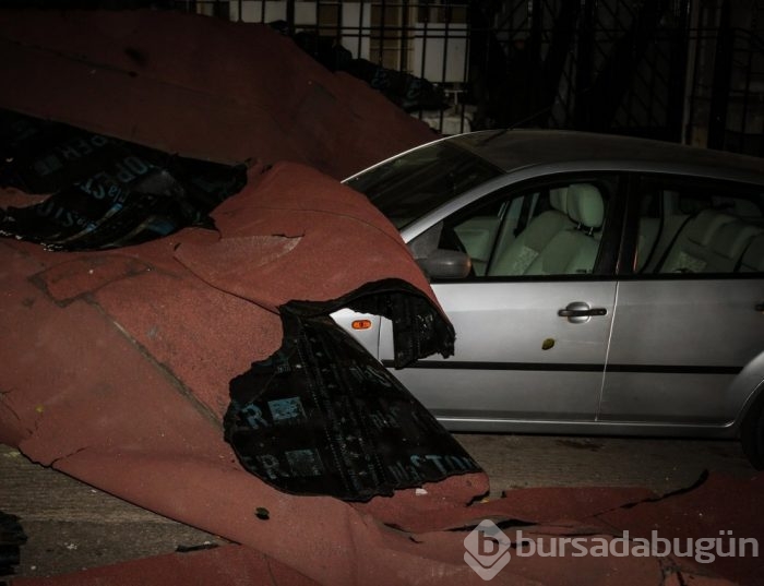 Bursa'da lodos hayatı olumsuz etkiledi