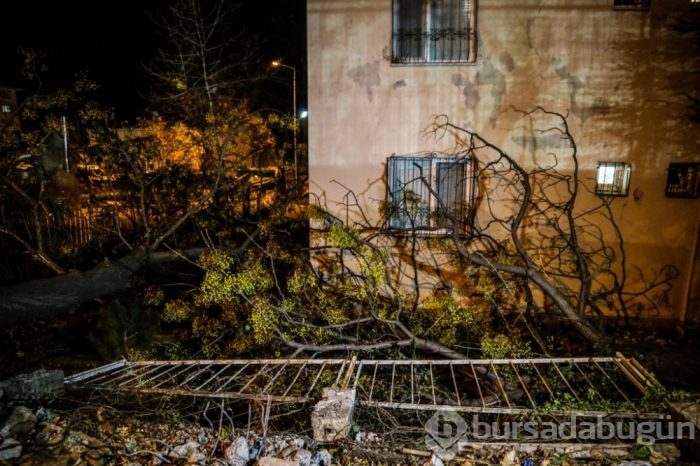 Bursa'da lodos hayatı olumsuz etkiledi