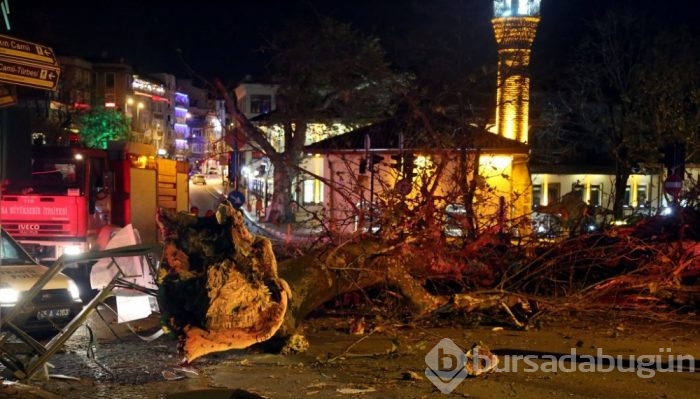 Bursa'da lodos hayatı olumsuz etkiledi