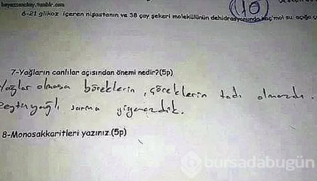 Cevaplarıyla hocalarının tam puan verdiği 18 öğrenci cevabı