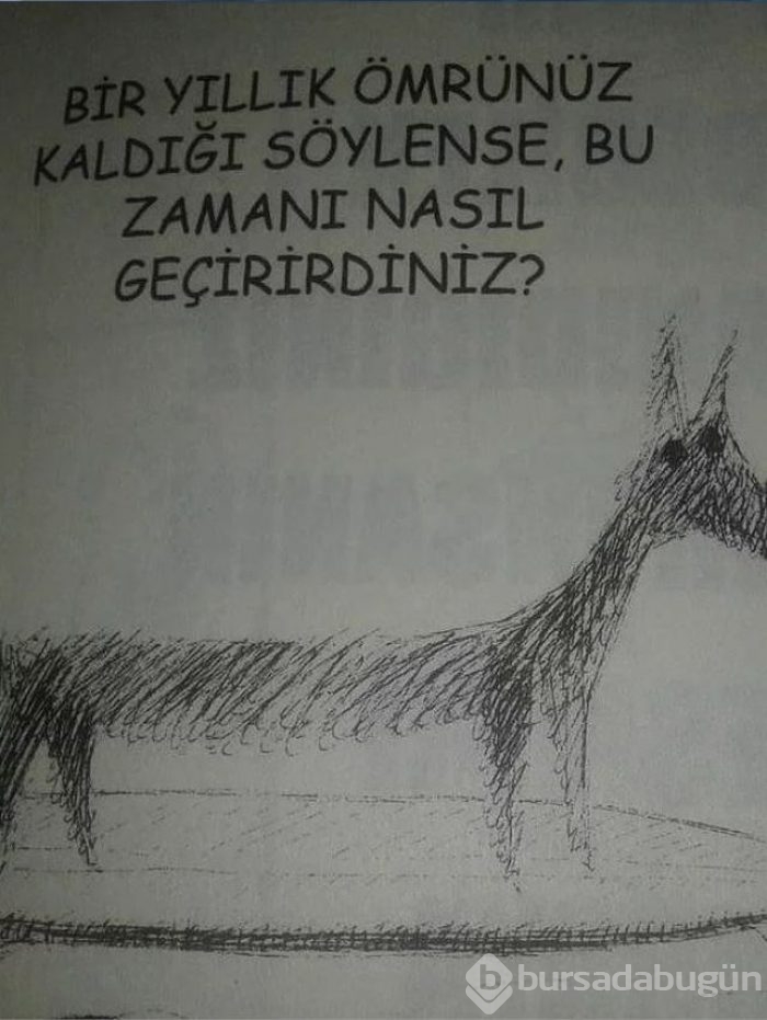 Cevaplarıyla hocalarının tam puan verdiği 18 öğrenci cevabı