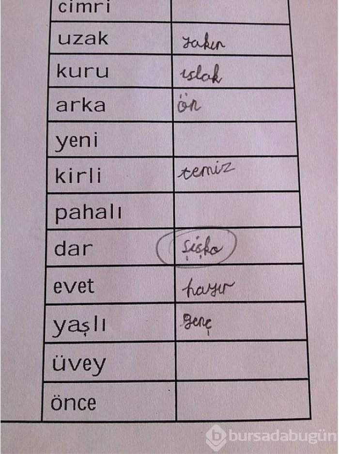 Cevaplarıyla hocalarının tam puan verdiği 18 öğrenci cevabı