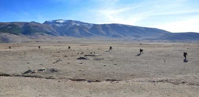PKK'nın korkulu rüyası: Komandolar