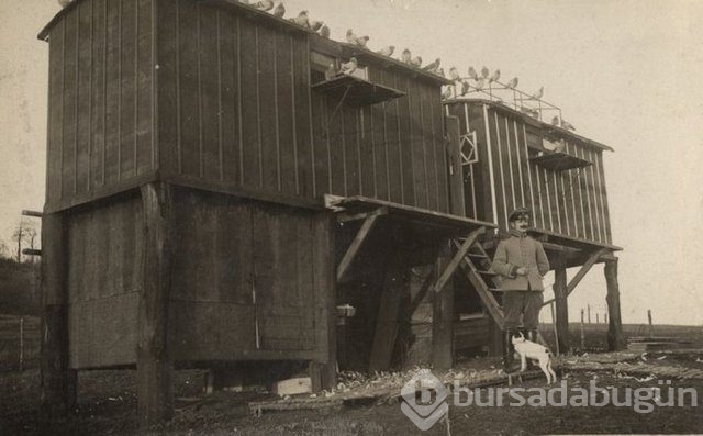 1.Dünya savaşı'nın görülmemiş fotoğrafları