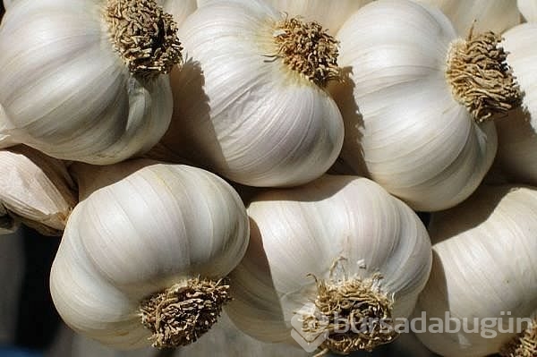 Kışın hastalıklardan nasıl korunuruz?