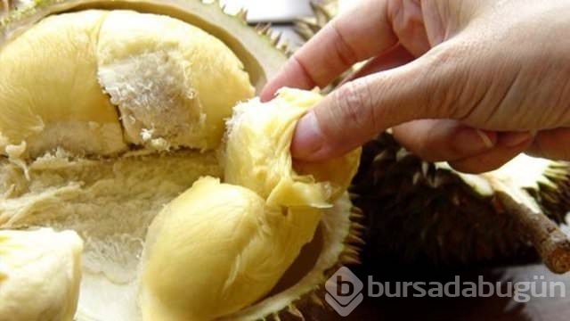 Bu yemekler öldürüyor!

