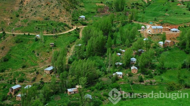 Hangi ilin nesi meşhur!