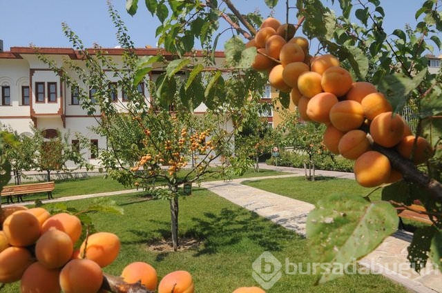 Hangi ilin nesi meşhur!