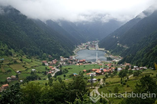 Hangi ilin nesi meşhur!