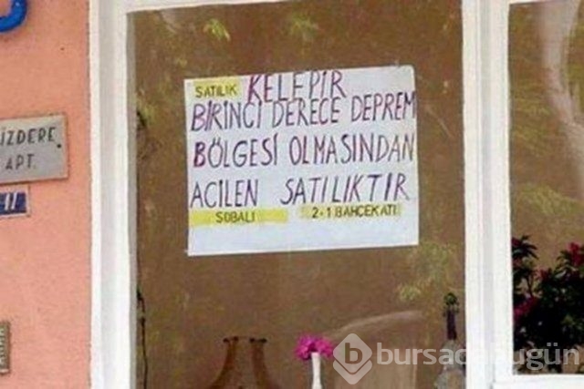 Okulda neden İngilizce öğrenilmiyor