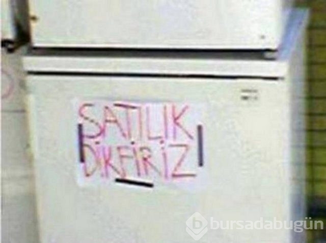 Okulda neden İngilizce öğrenilmiyor
