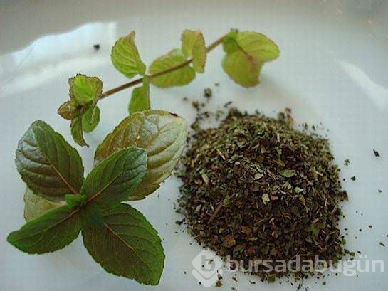 Soğuk algınlığına bunlarla veda edin