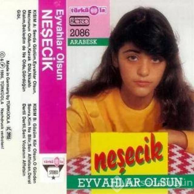 En saçma albüm kapakları