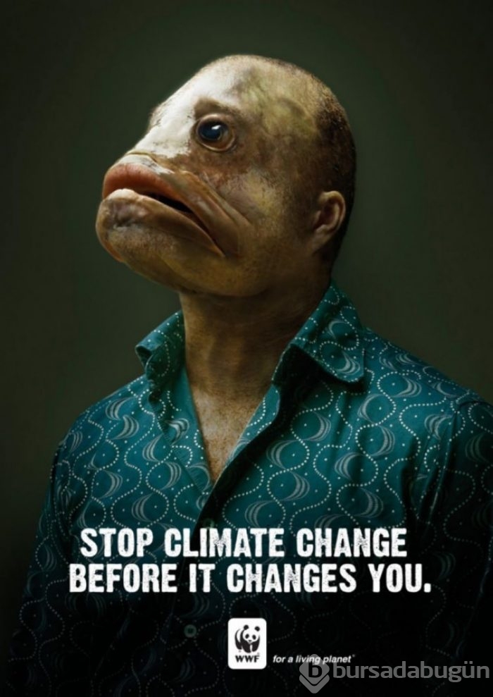 En can alıcı 30 reklam kampanyası