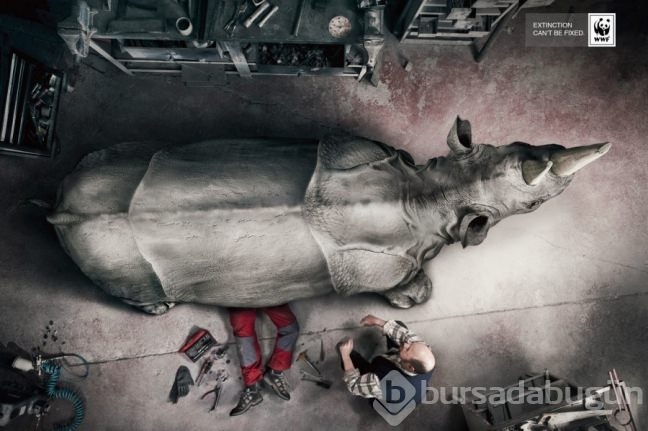 En can alıcı 30 reklam kampanyası