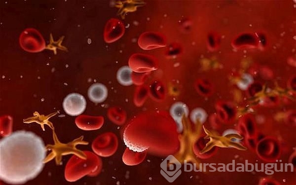 Türk bilimciler yerli yapay kan üretti	