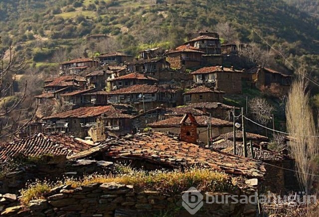 Türkiye'nin hayalet köyü Lübbey