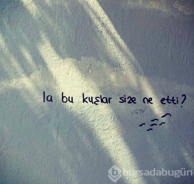 Duvara öyle bir yazı yazdı ki!