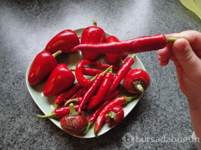 Midenizi kansere karşı acı biberle koruyun!
