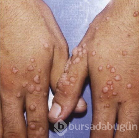 Herkesin evinde bulunan malzemelerin bilinmeyen yönleri
