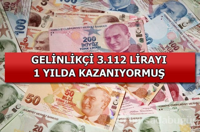 Genelevin yıllık kazancı...