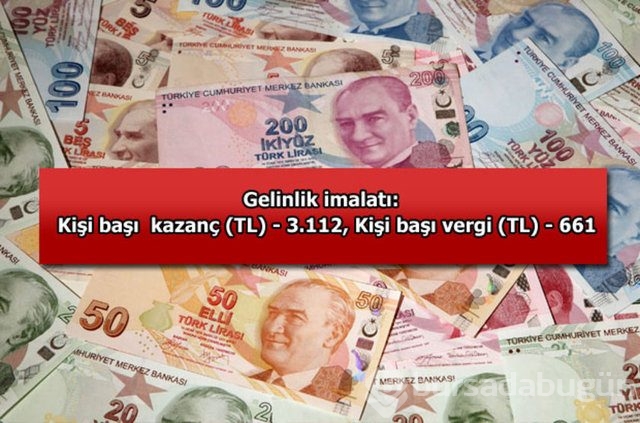 Genelevin yıllık kazancı...