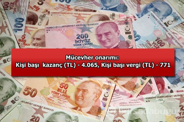 Genelevin yıllık kazancı...