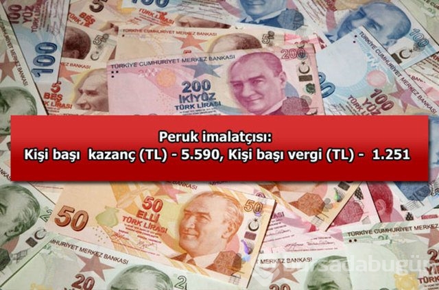 Genelevin yıllık kazancı...