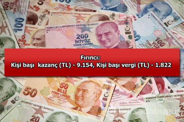 Genelevin yıllık kazancı...