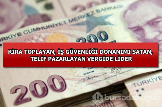 Genelevin yıllık kazancı...