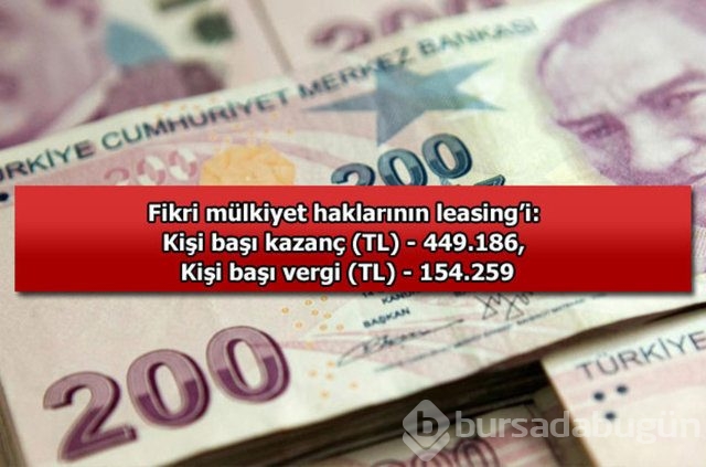 Genelevin yıllık kazancı...