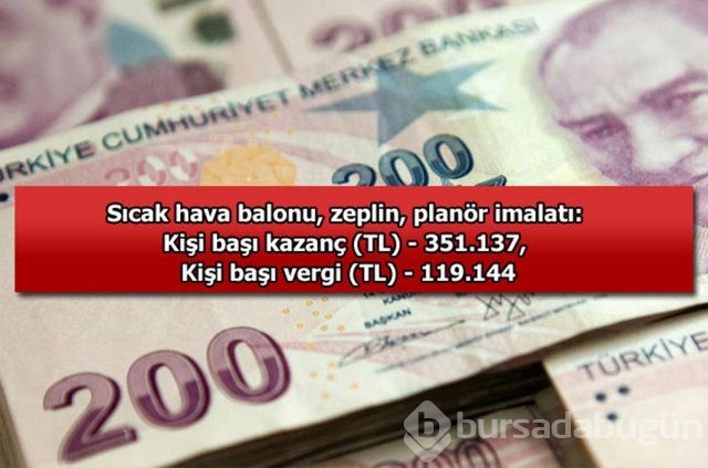 Genelevin yıllık kazancı...