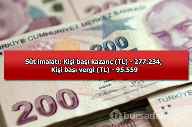 Genelevin yıllık kazancı...