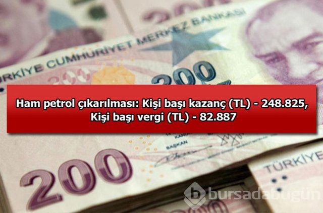 Genelevin yıllık kazancı...