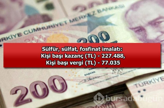Genelevin yıllık kazancı...