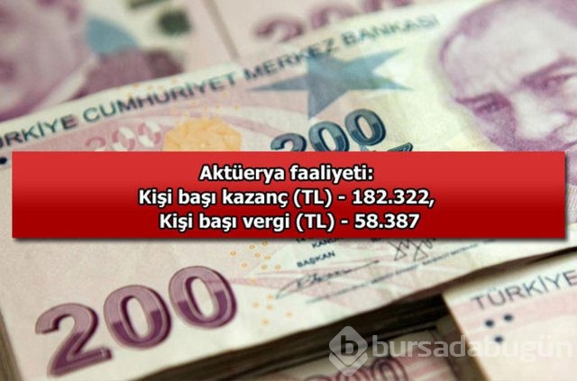 Genelevin yıllık kazancı...