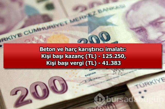 Genelevin yıllık kazancı...