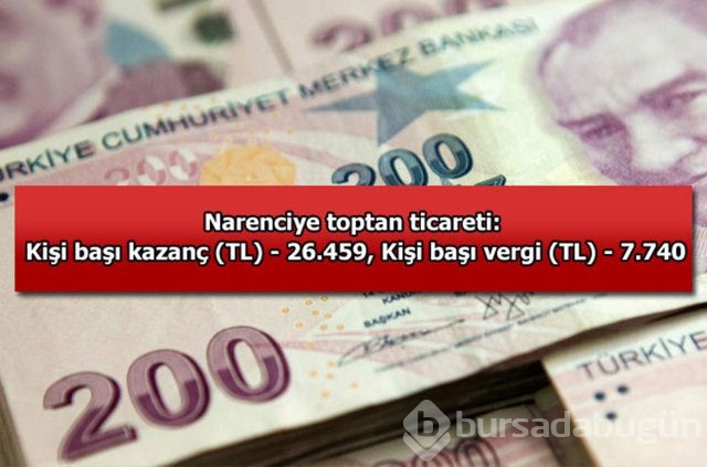 Genelevin yıllık kazancı...