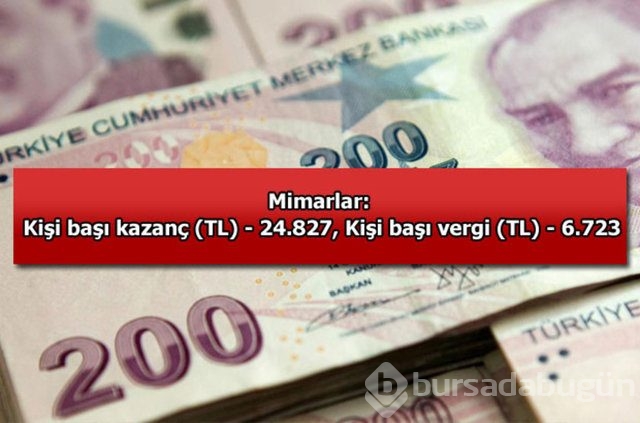 Genelevin yıllık kazancı...