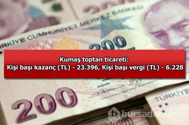 Genelevin yıllık kazancı...