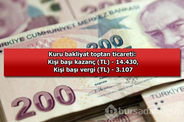 Genelevin yıllık kazancı...