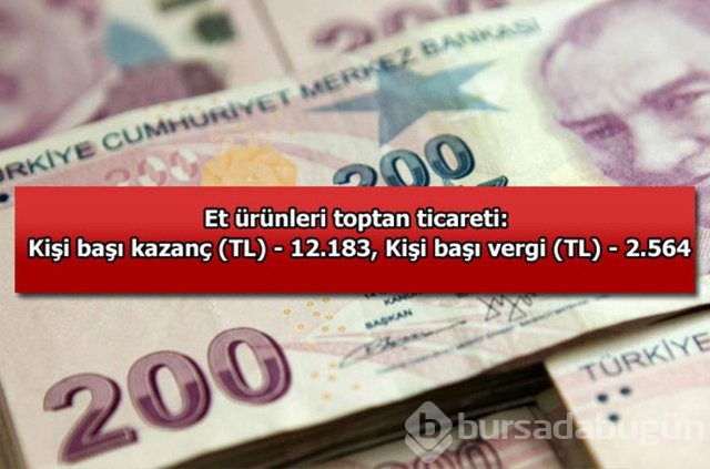 Genelevin yıllık kazancı...