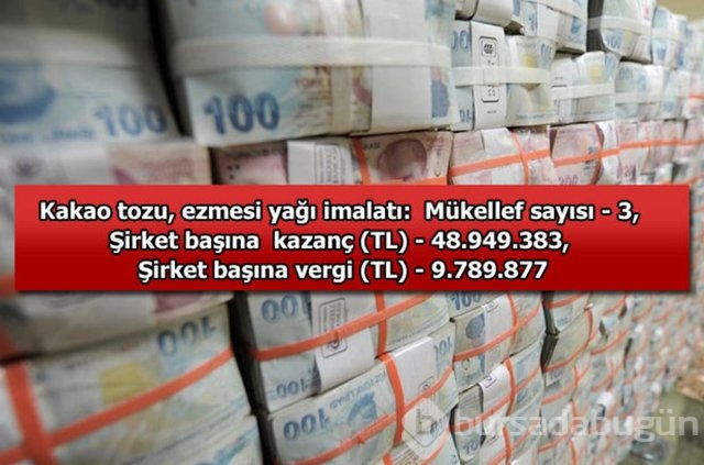 Genelevin yıllık kazancı...