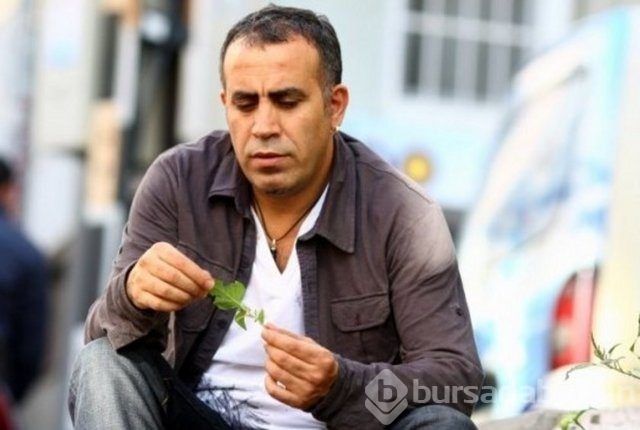 Ünlüler hangi okullardan mezun oldu
