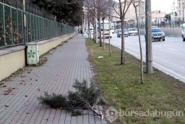 Lodos hayatı felç etti!

