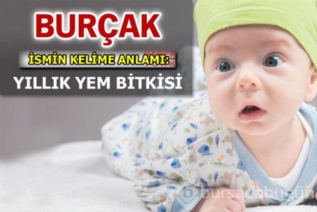 İsimlerin anlamları
