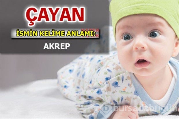 İsimlerin anlamları
